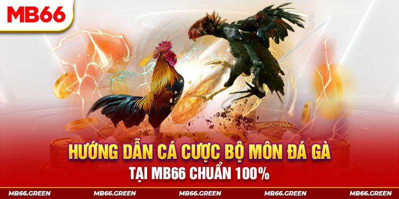 sun88 casino tỷ lệ bóng đá